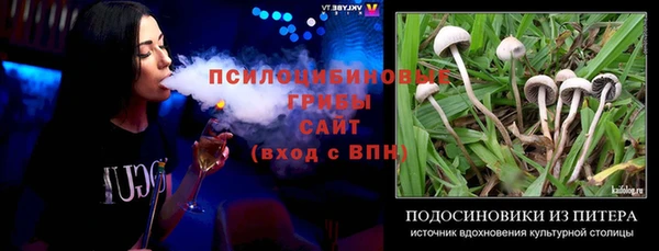 гашик Липки