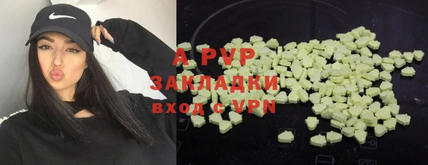 гашик Липки