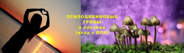 гашик Липки