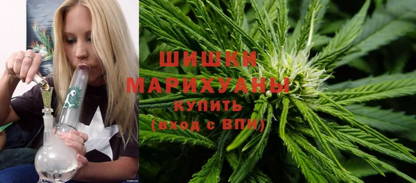 гашик Липки